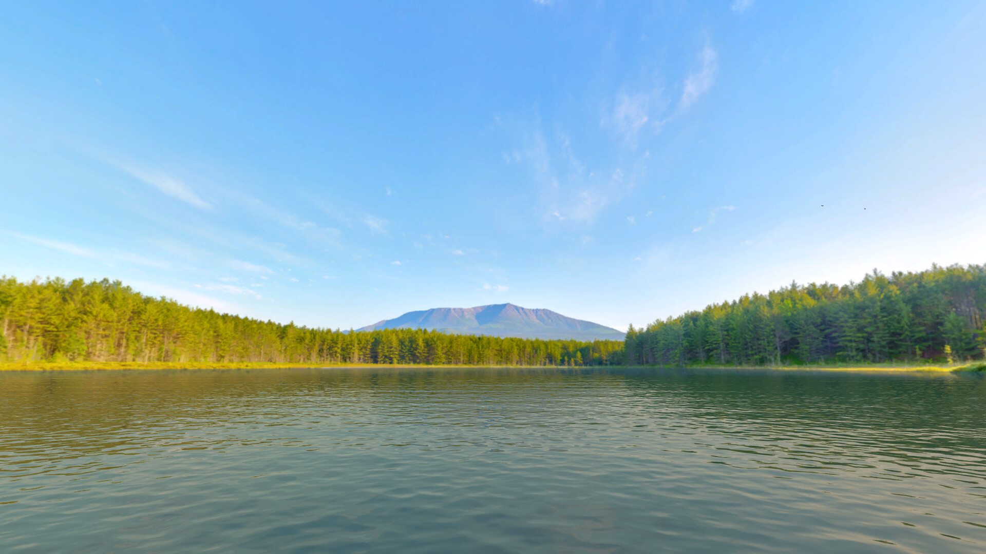 Real VR Fishing: US East Coast DLC