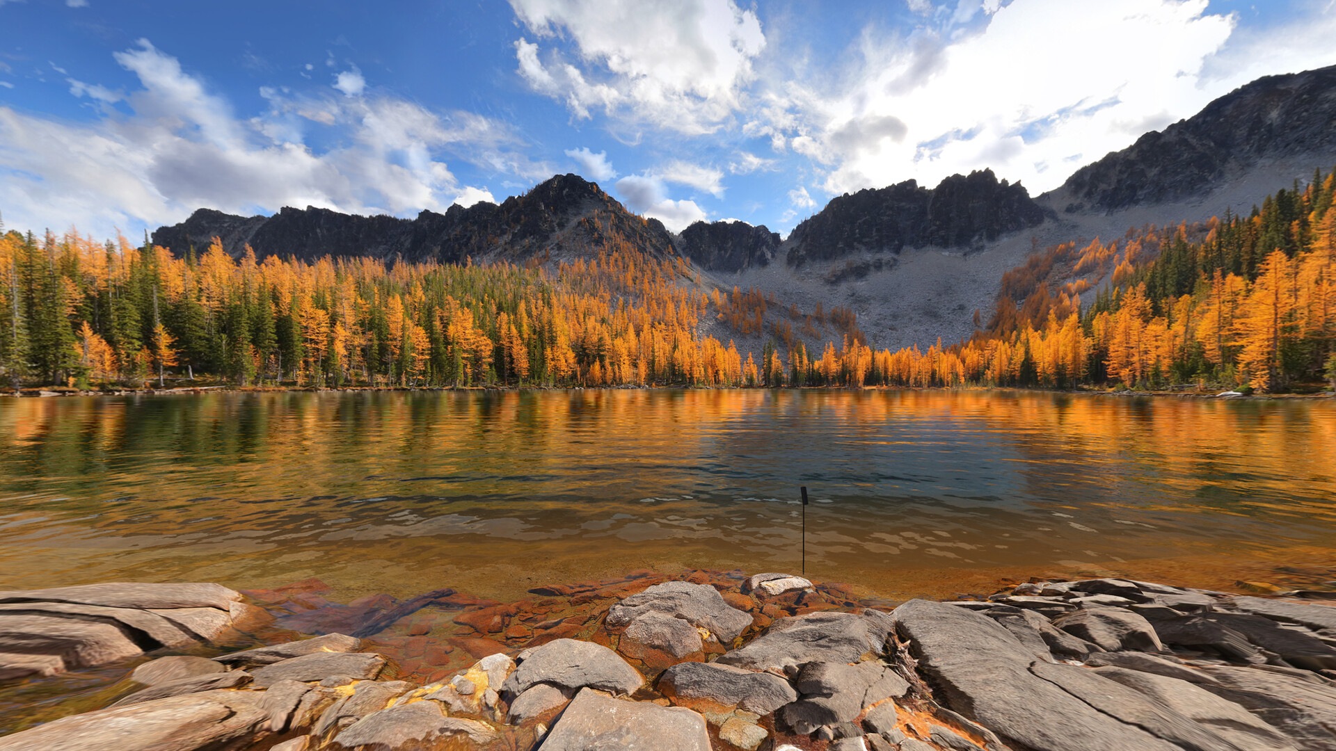 Real VR Fishing: US West Coast DLC