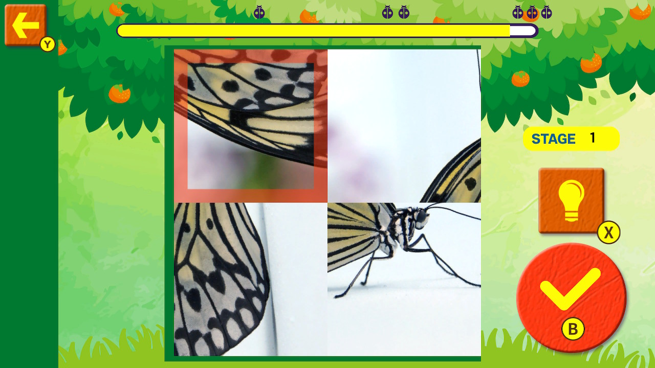 Brain Workout! Spinning Insect Puzzle