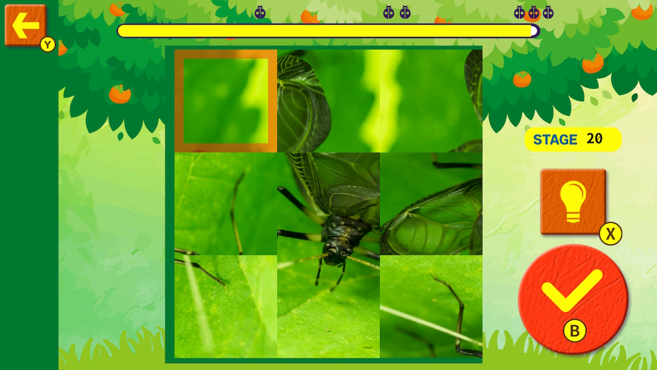 Brain Workout! Spinning Insect Puzzle