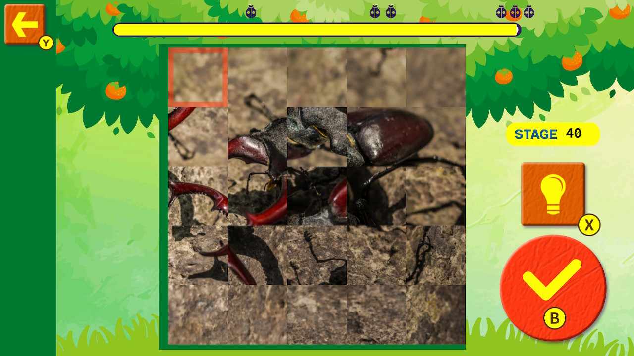 Brain Workout! Spinning Insect Puzzle