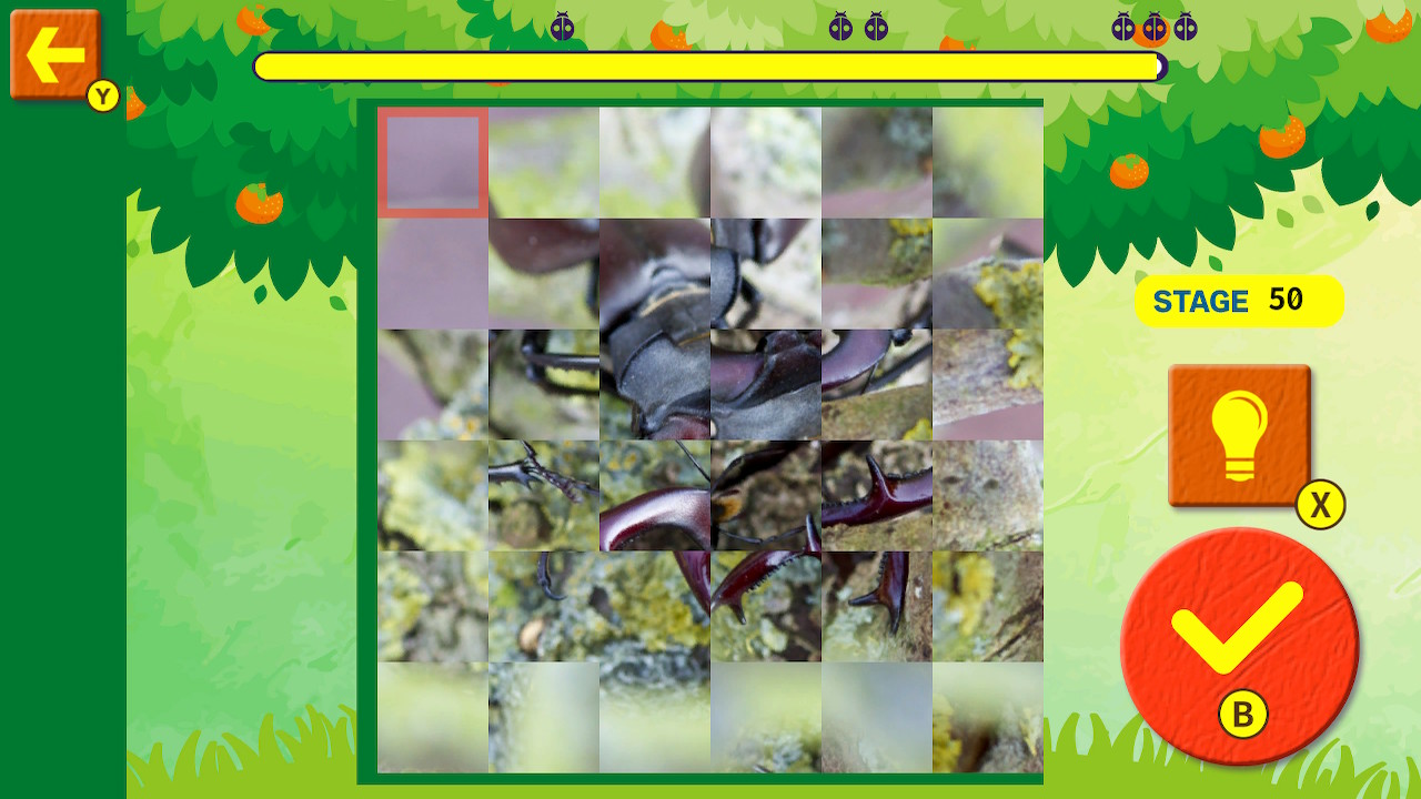 Brain Workout! Spinning Insect Puzzle