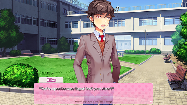 My Doki Doki SNAFU