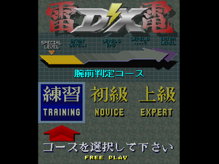 Raiden DX