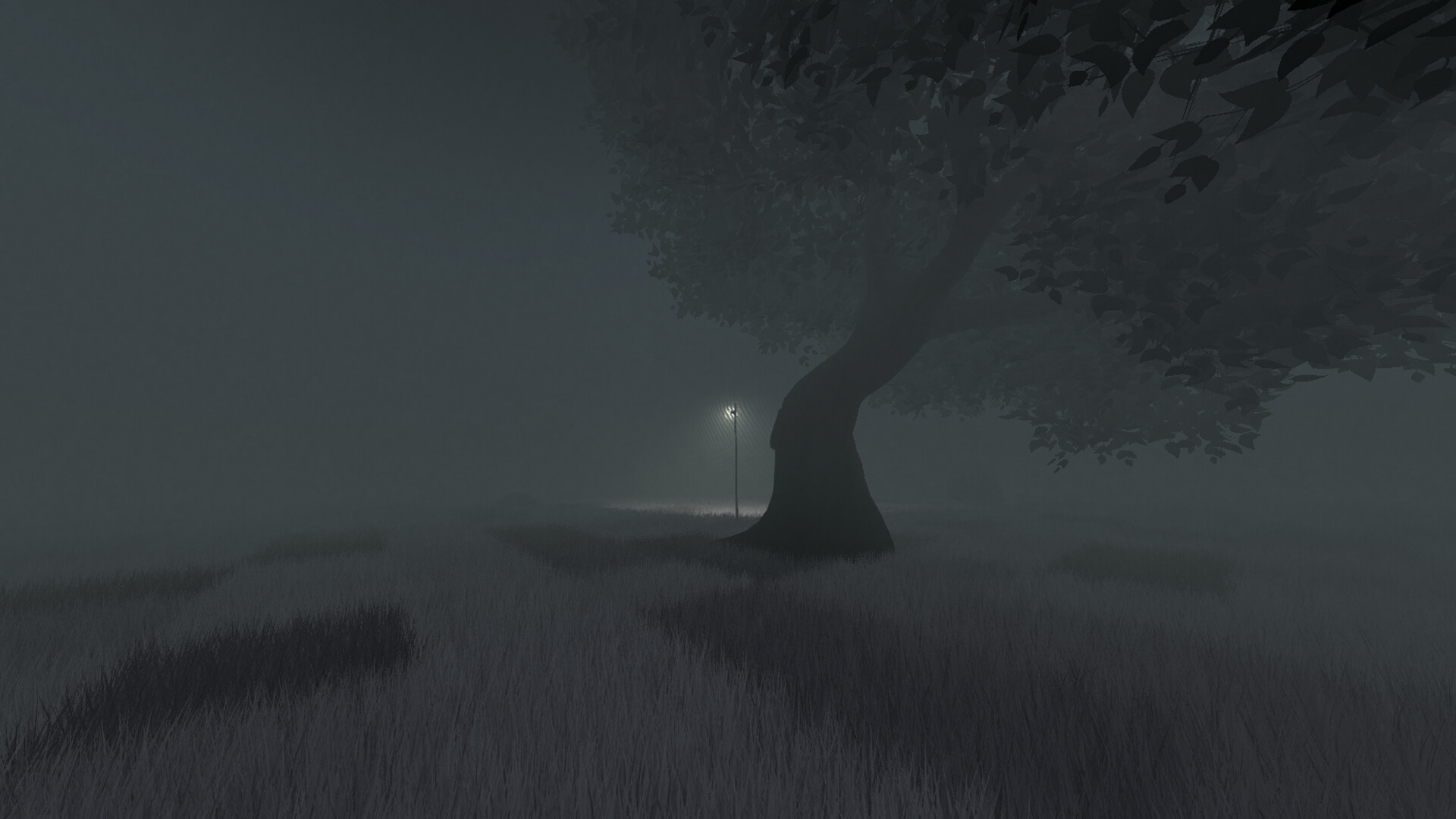 ADHD Horror Anthology