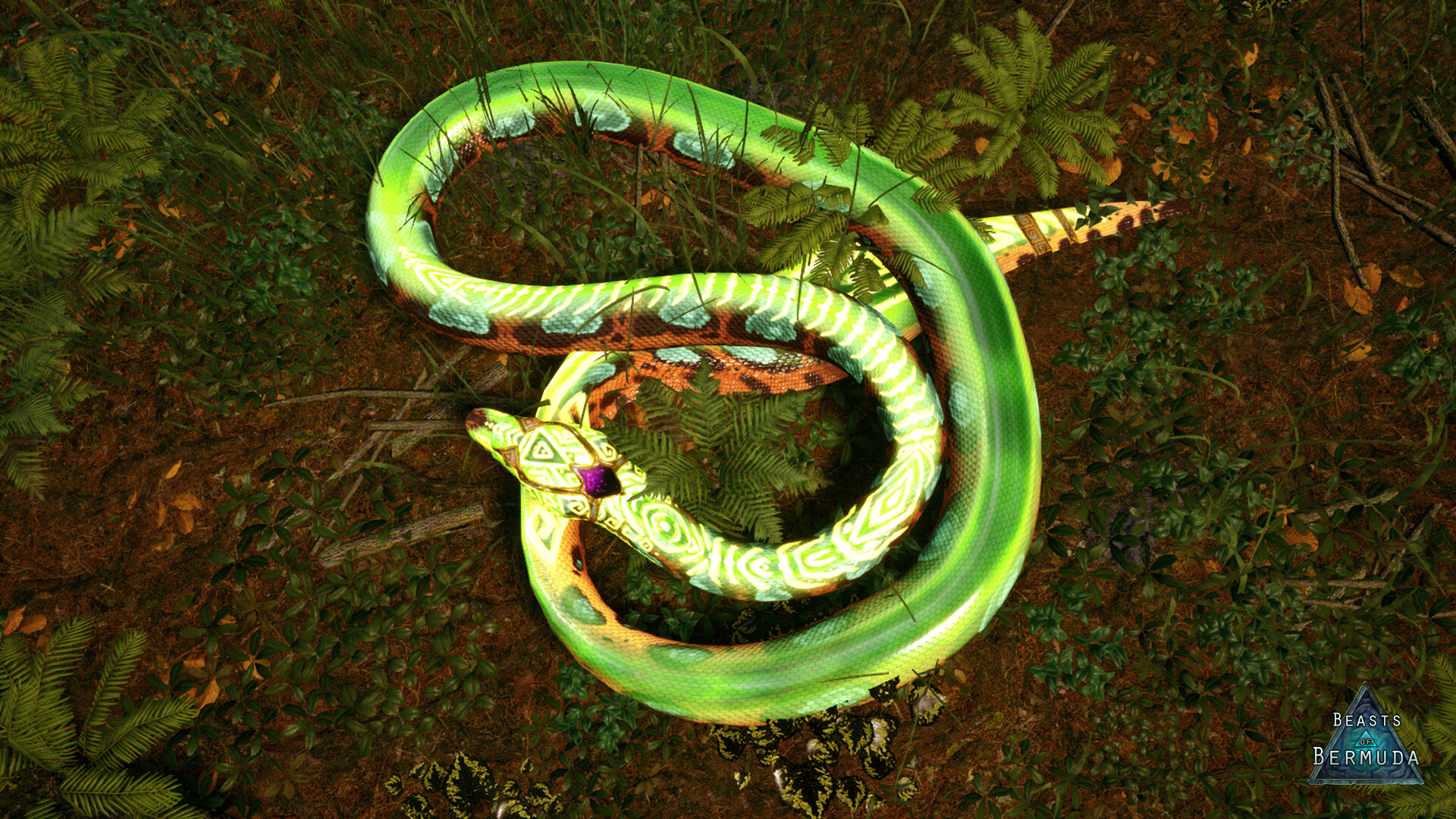 Beasts of Bermuda: Palaeophis Supporter Warpaint