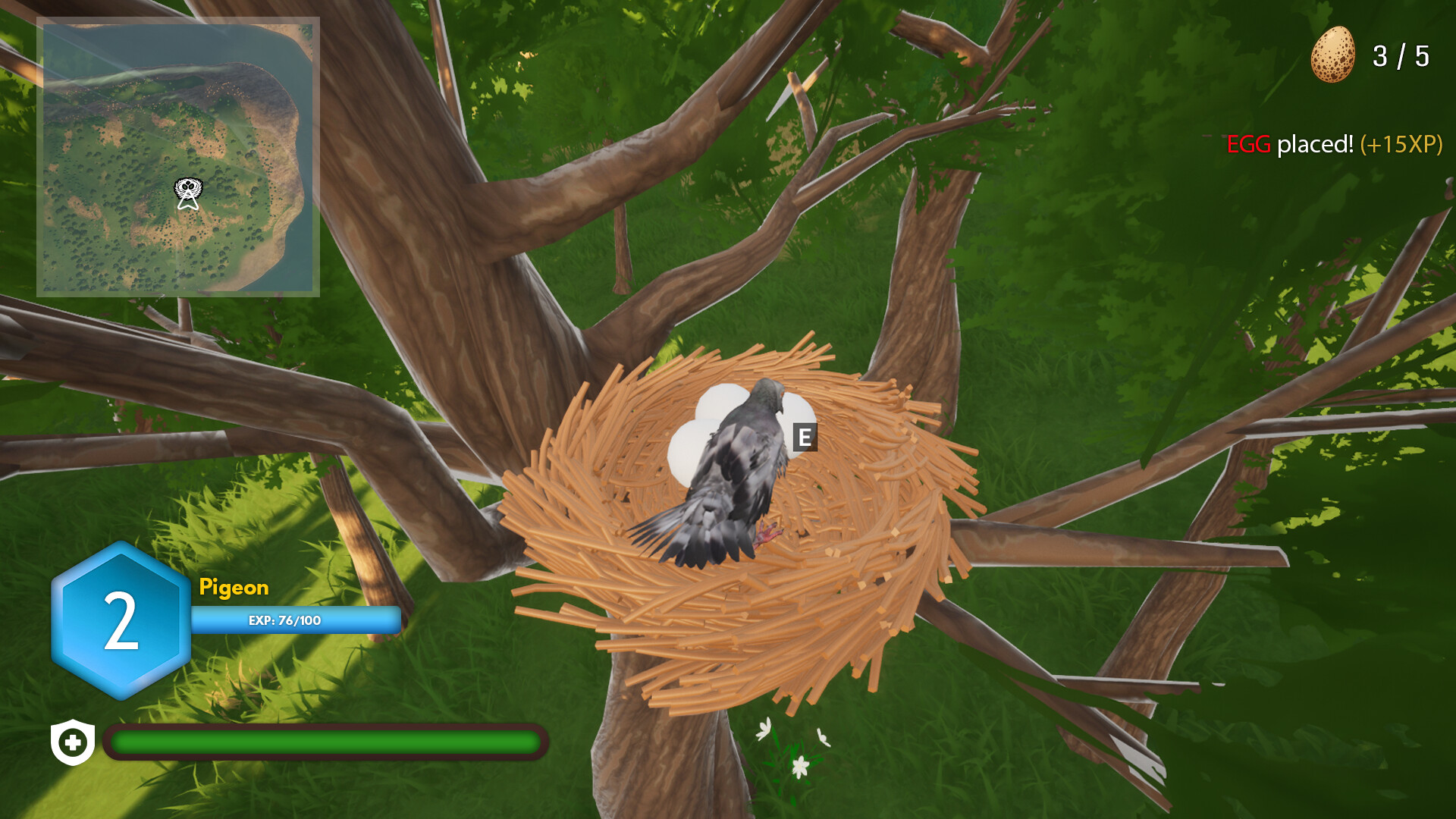 Bird Game 3
