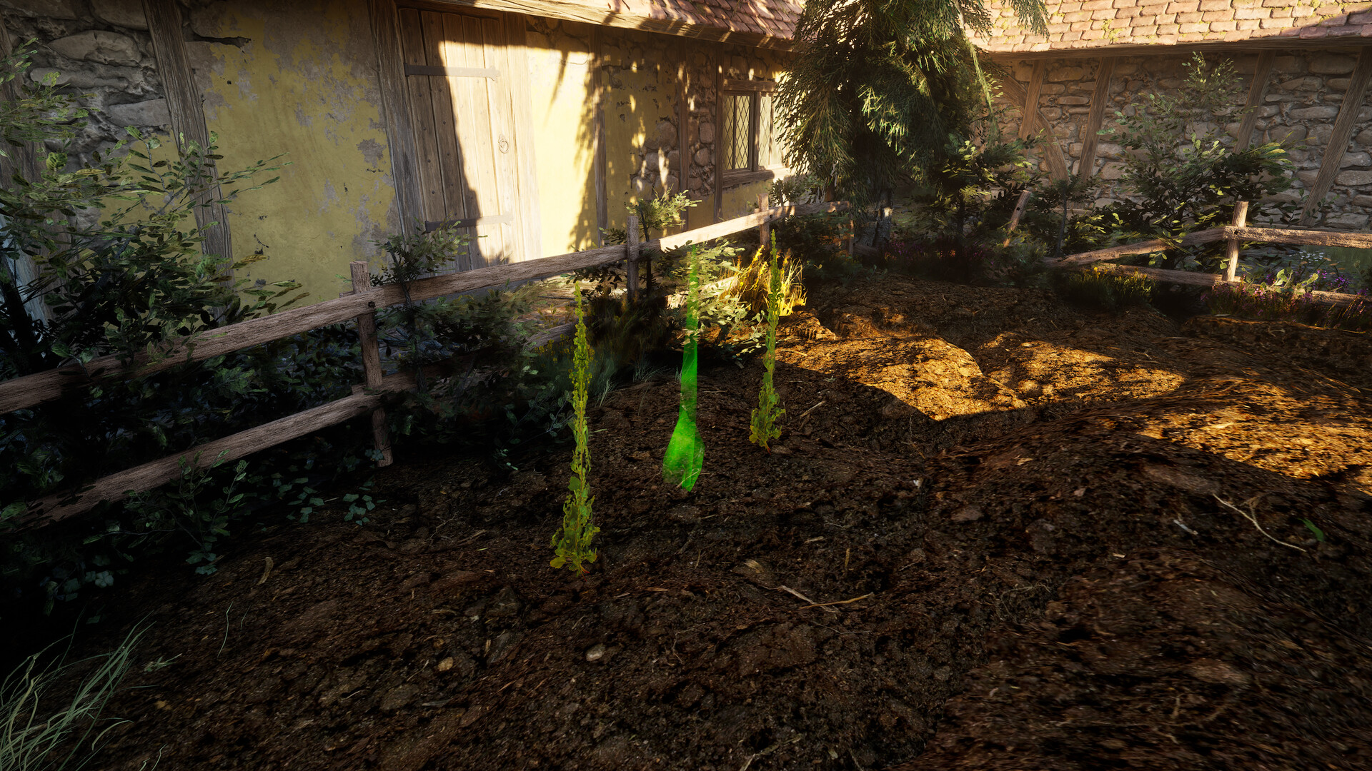 Plague Doctor: Life in Pestilence