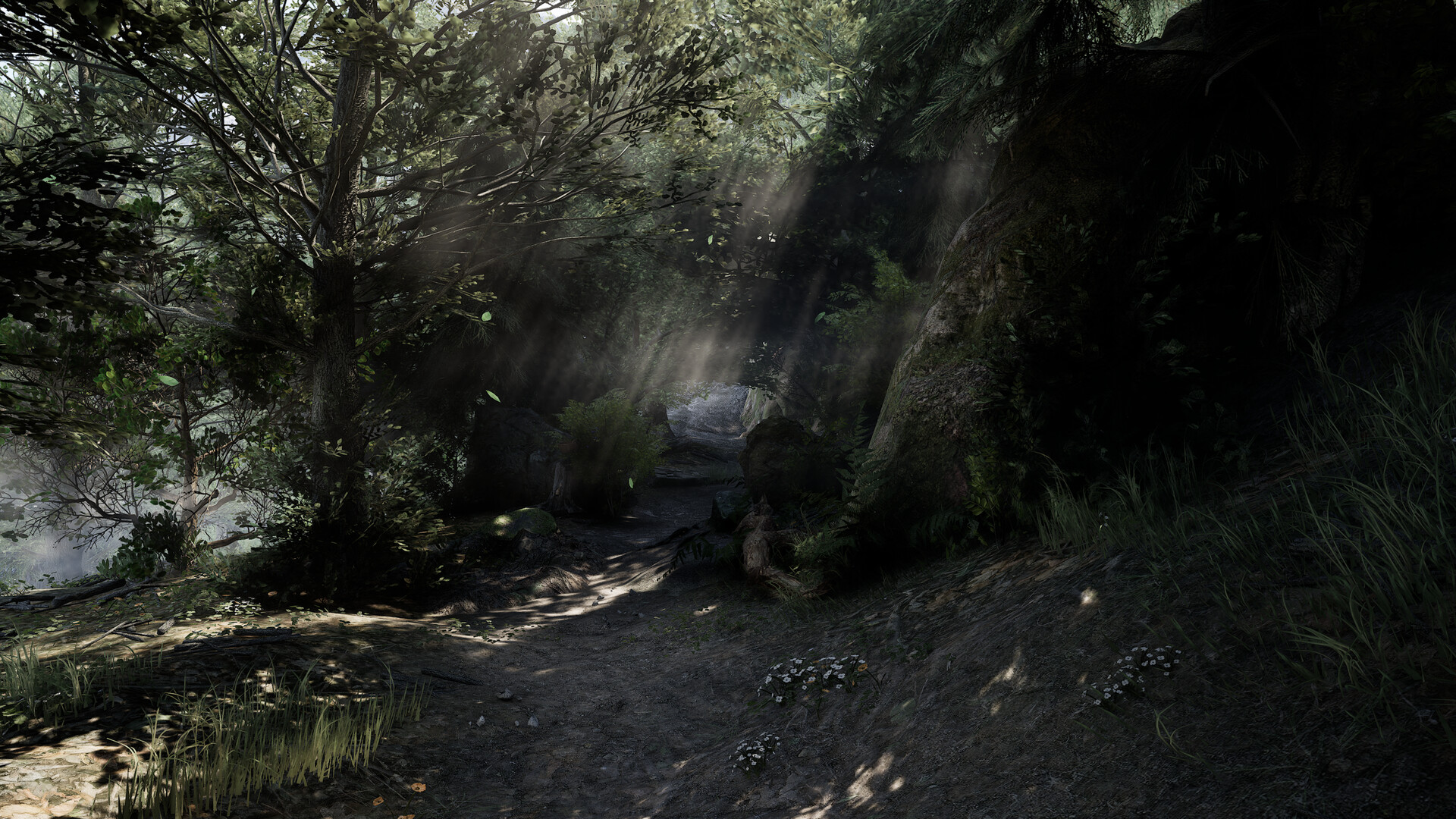 Plague Doctor: Life in Pestilence