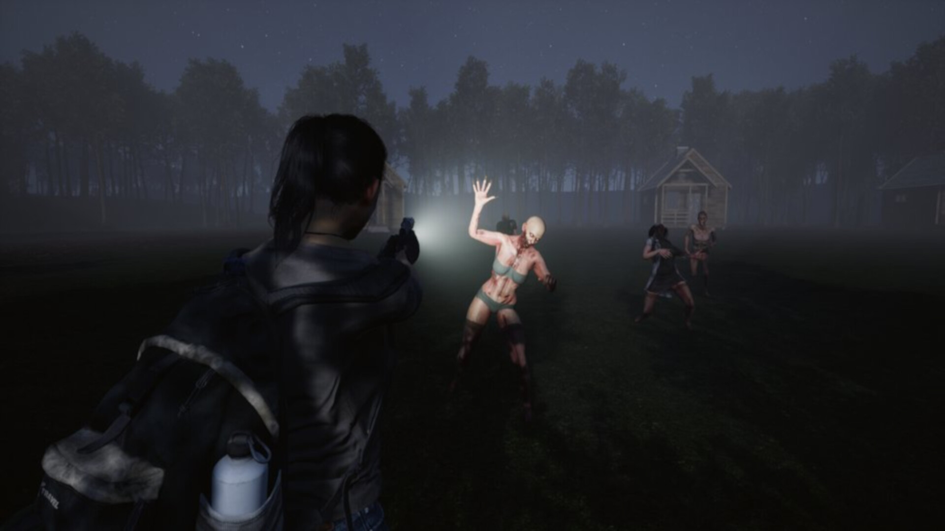 Aftermath Z: Red Pine Lake