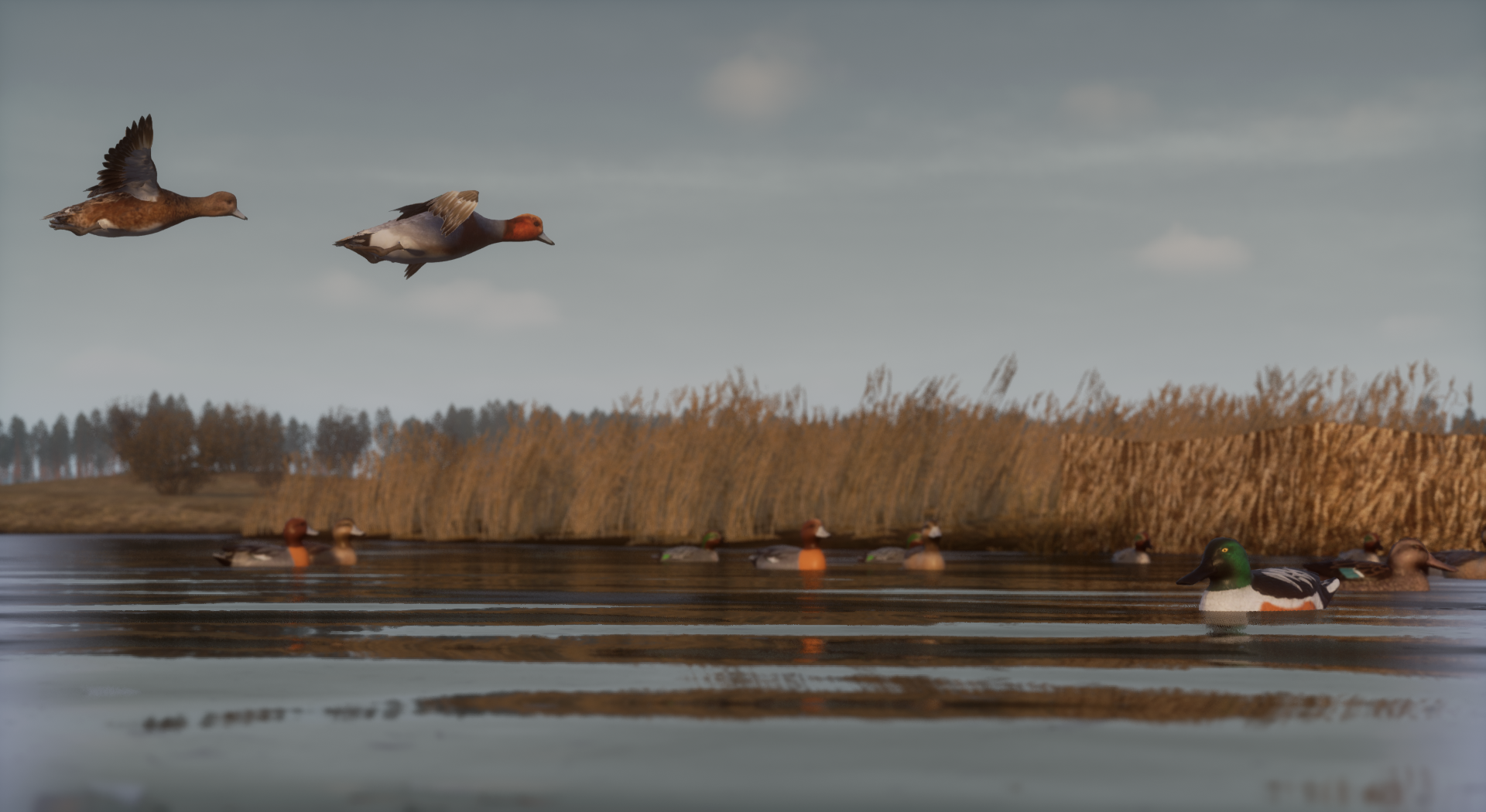 Bult: Hunting Simulator