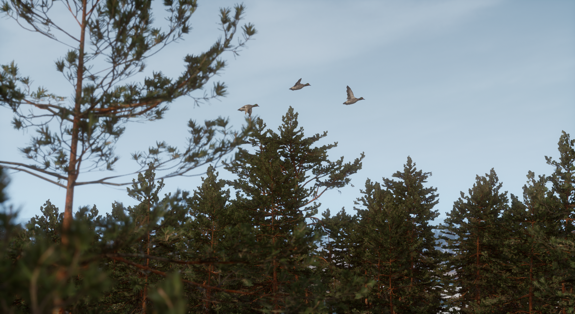 Bult: Hunting Simulator