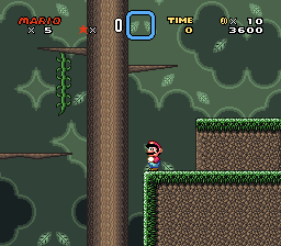 Mario’s Misadventures 2: The Black Hole Bomb
