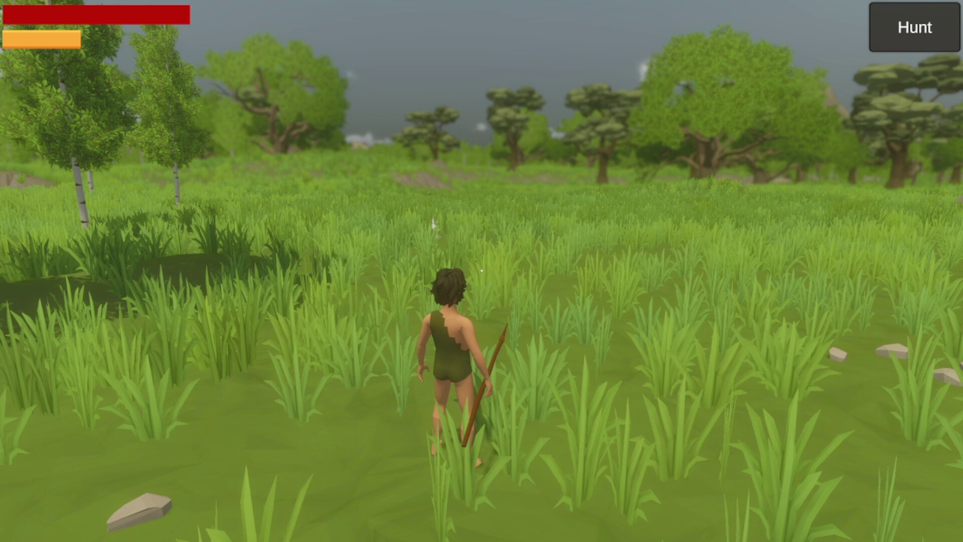 Primitive Survival