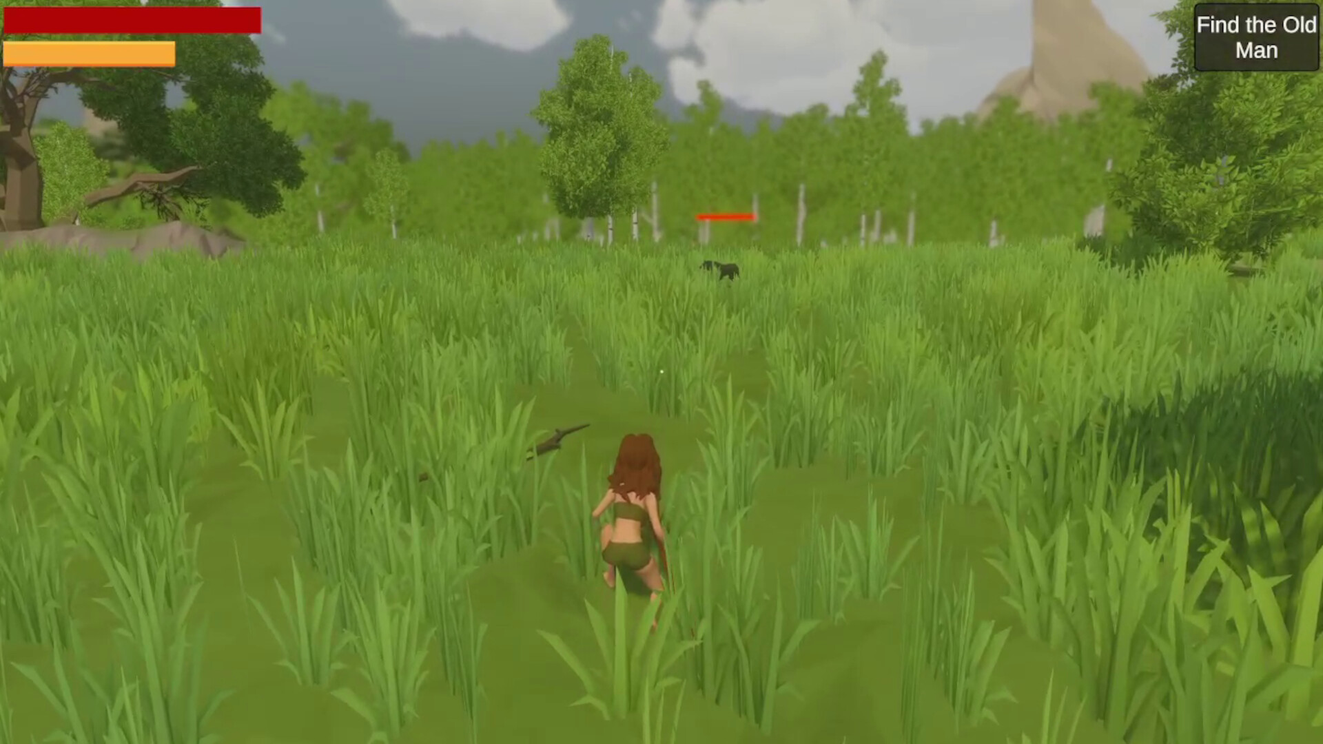 Primitive Survival