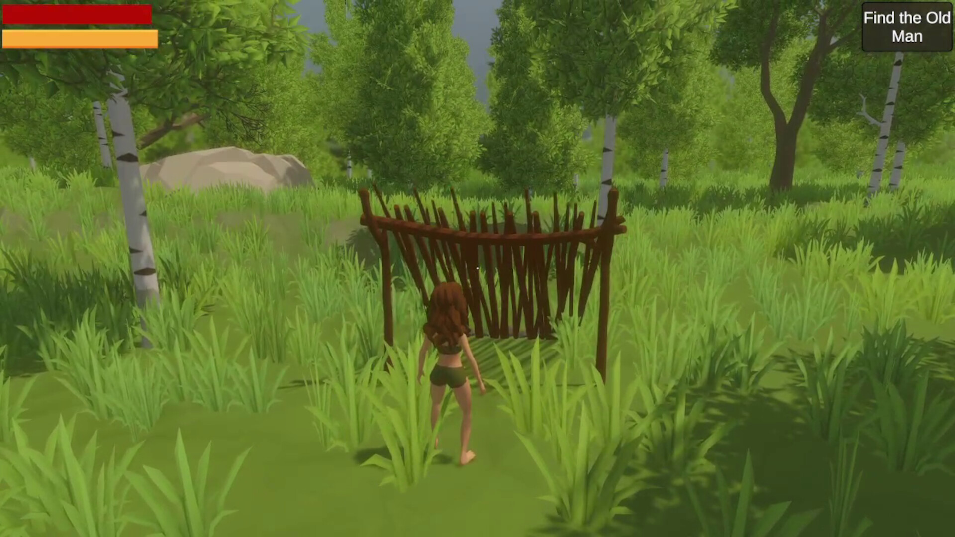 Primitive Survival