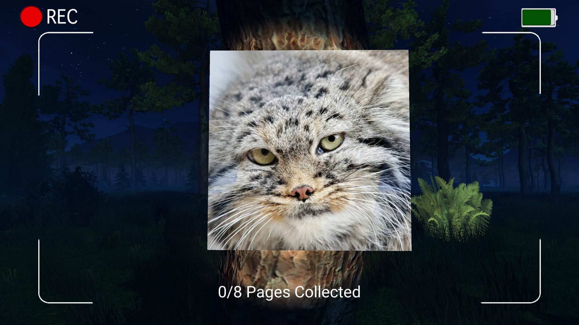 Dark Night with Floppa