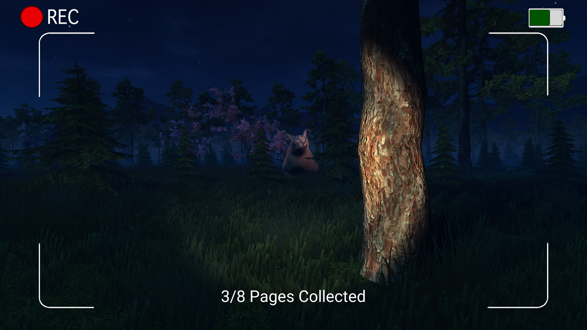 Dark Night with Floppa