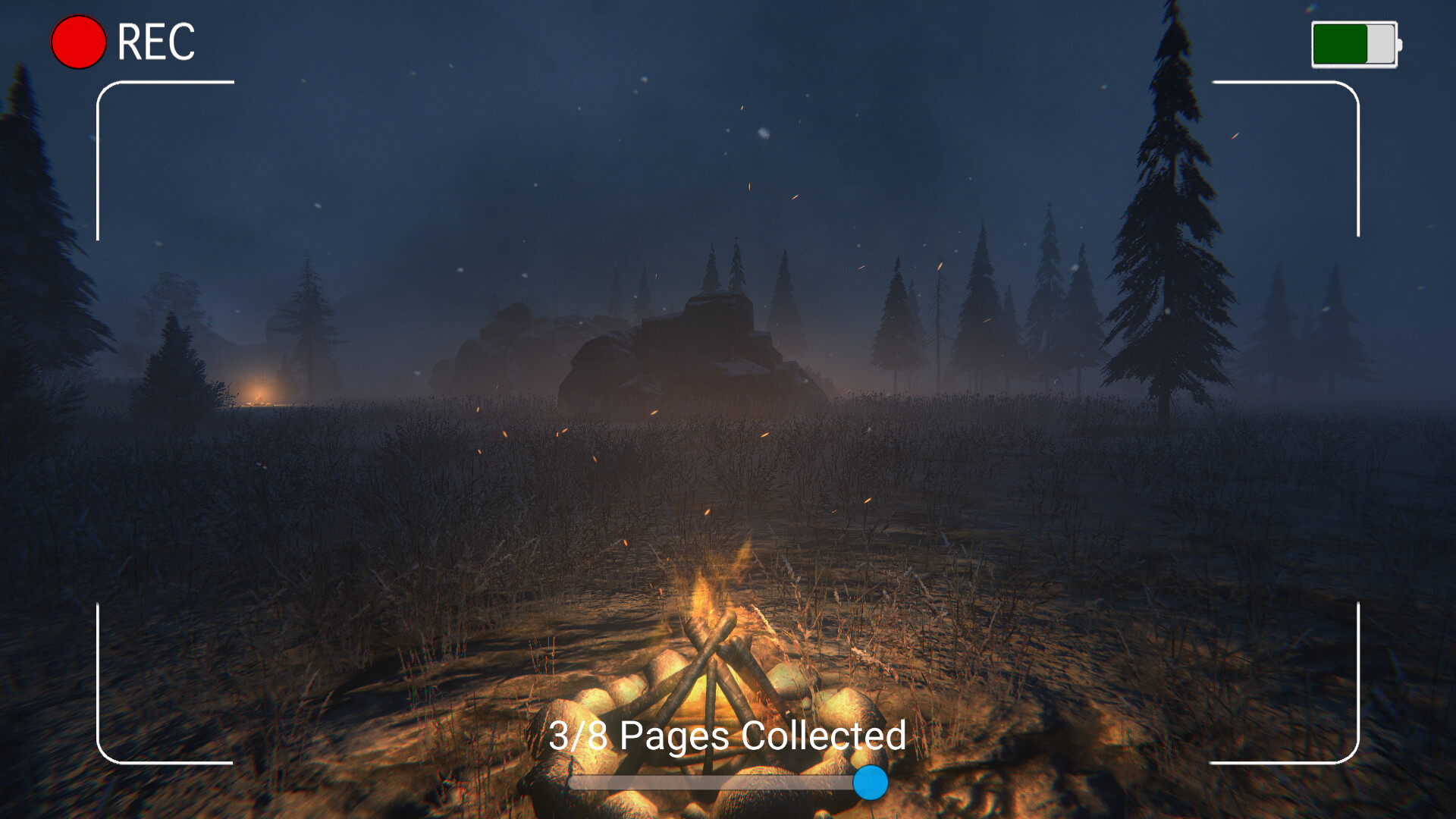 Dark Night with Floppa