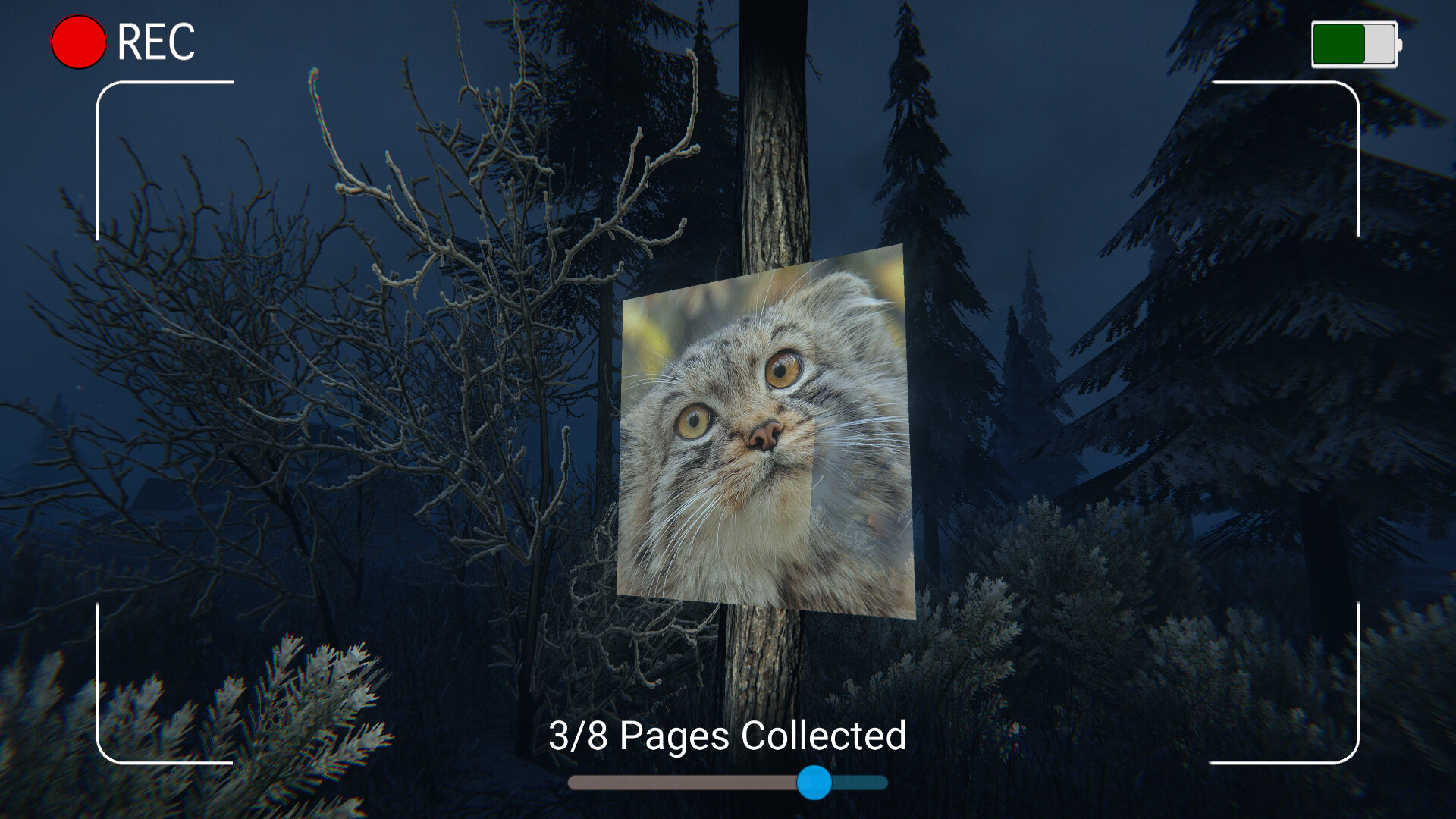 Dark Night with Floppa