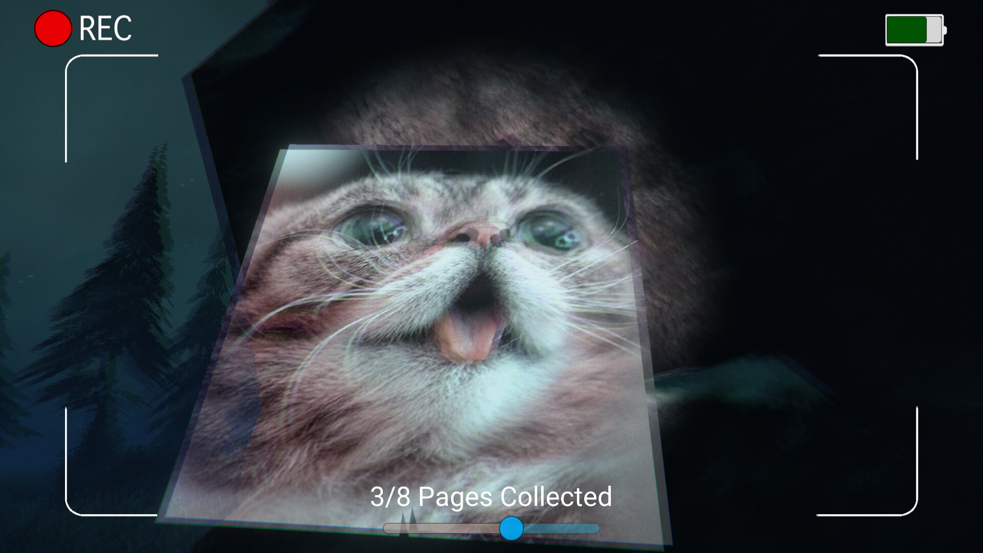 Dark Night with Floppa