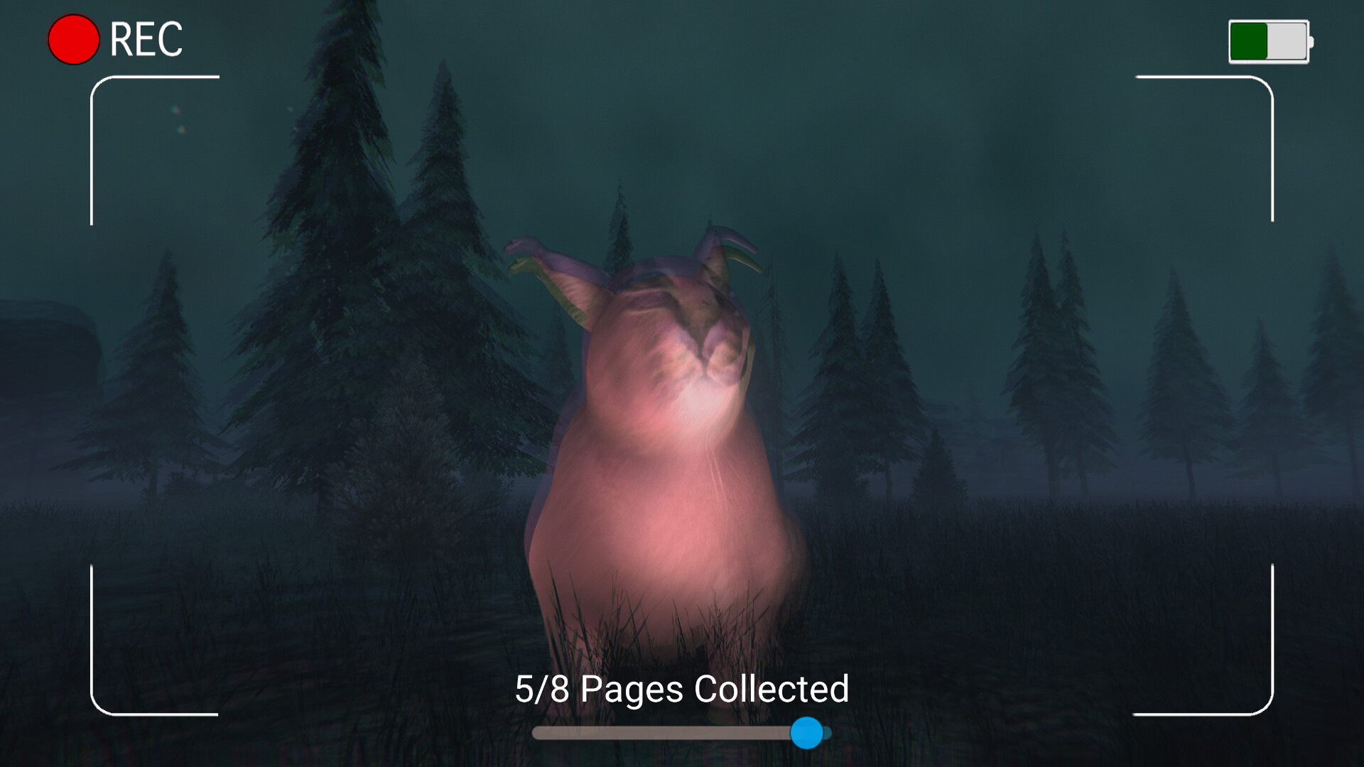 Dark Night with Floppa