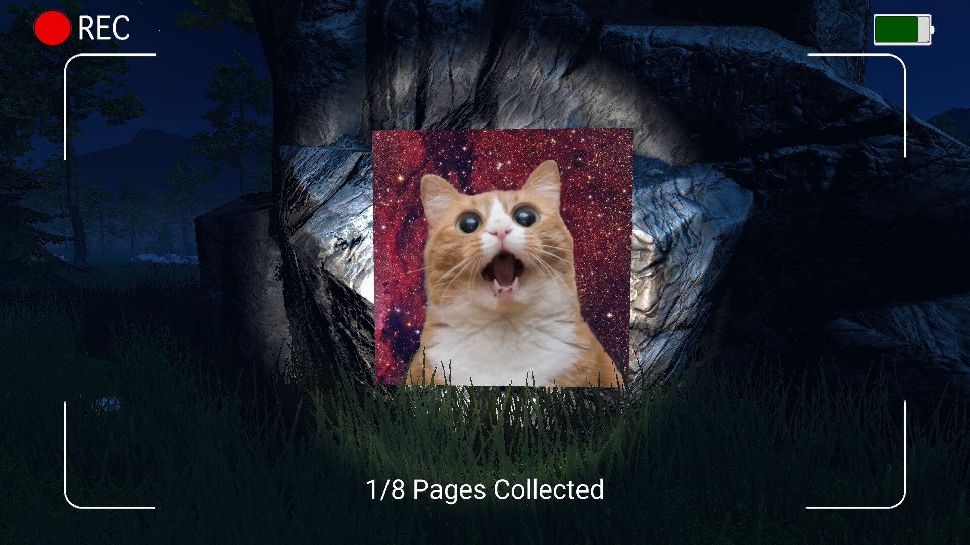 Dark Night with Floppa