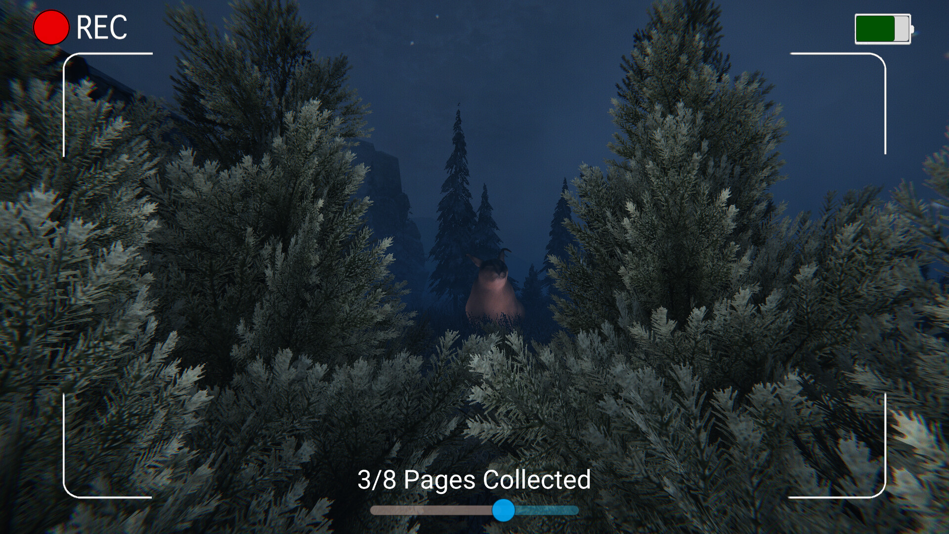 Dark Night with Floppa