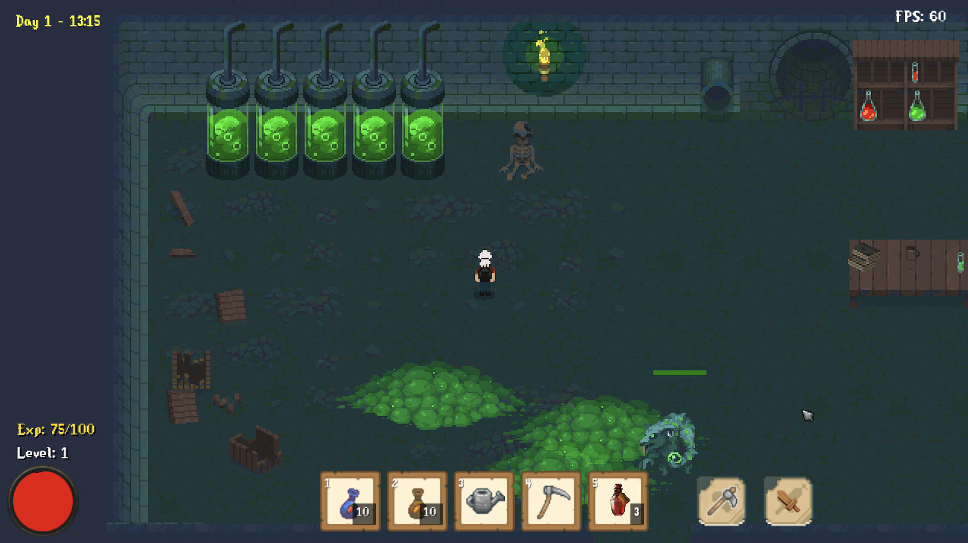 Echoes of the Cove