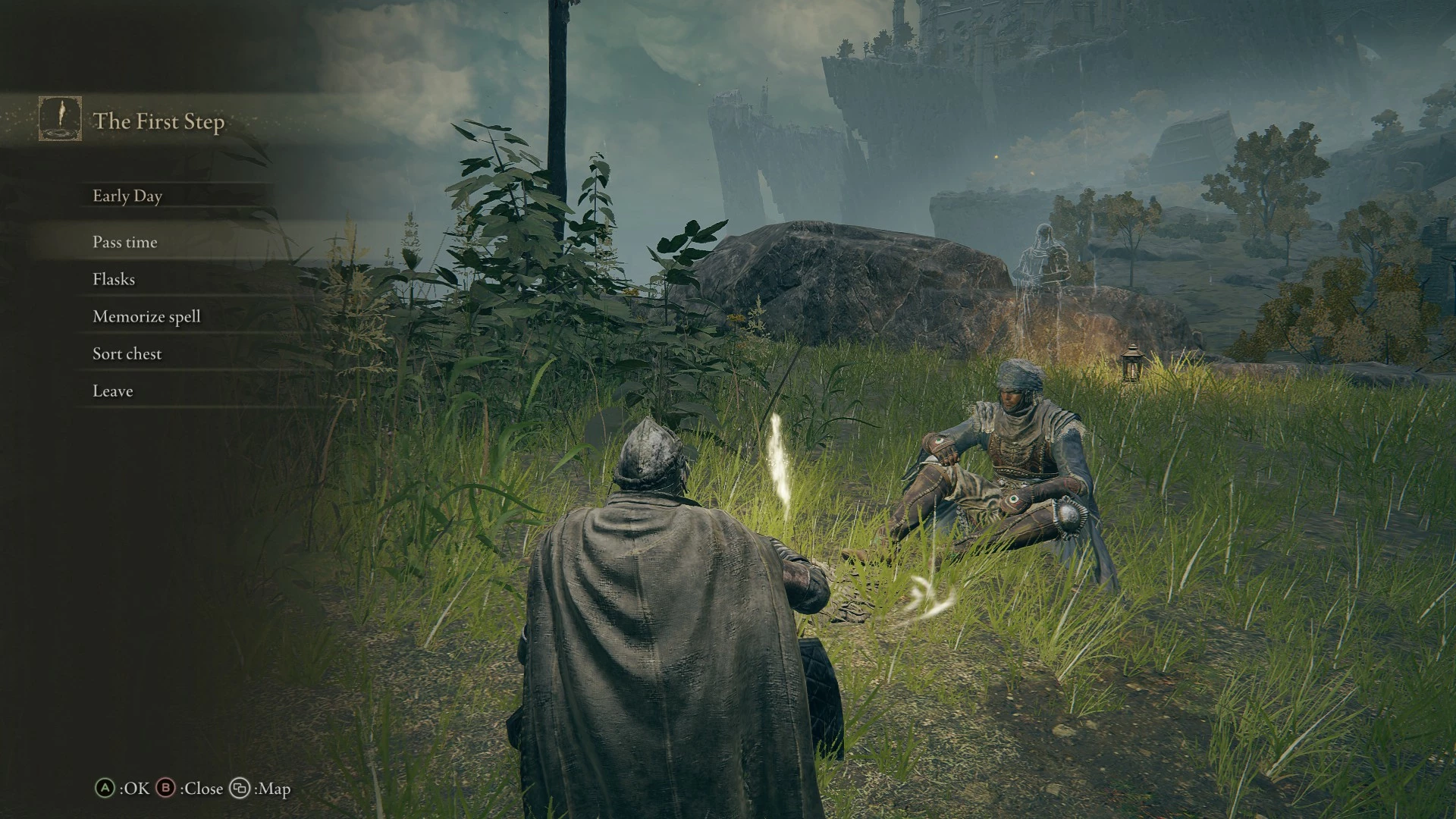 Elden Ring Seamless Co-op