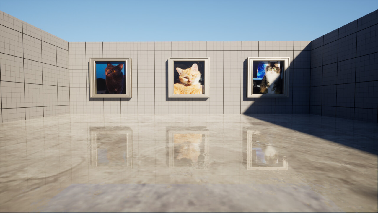 Aim Trainer: With Cats