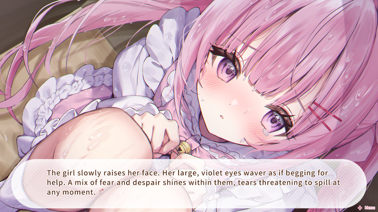 Nekomimi Days: 365 Days With You