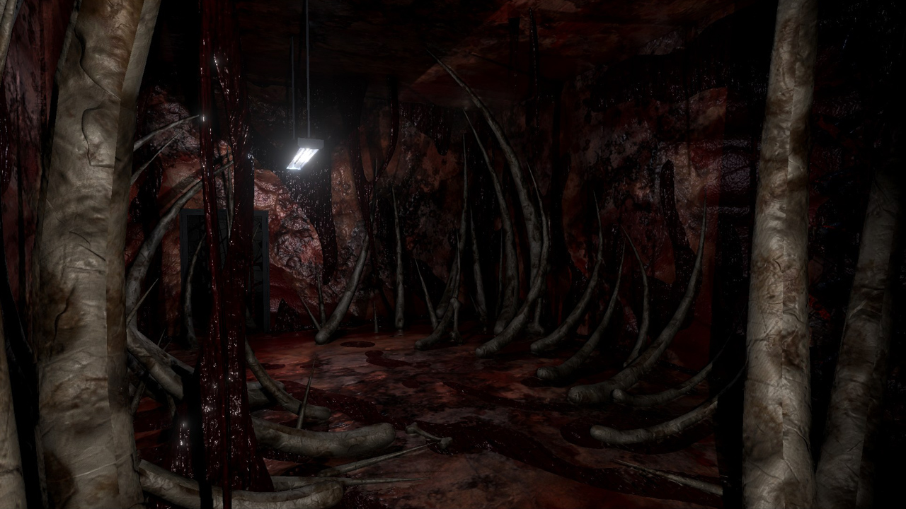 Timore 6: The Cadaver