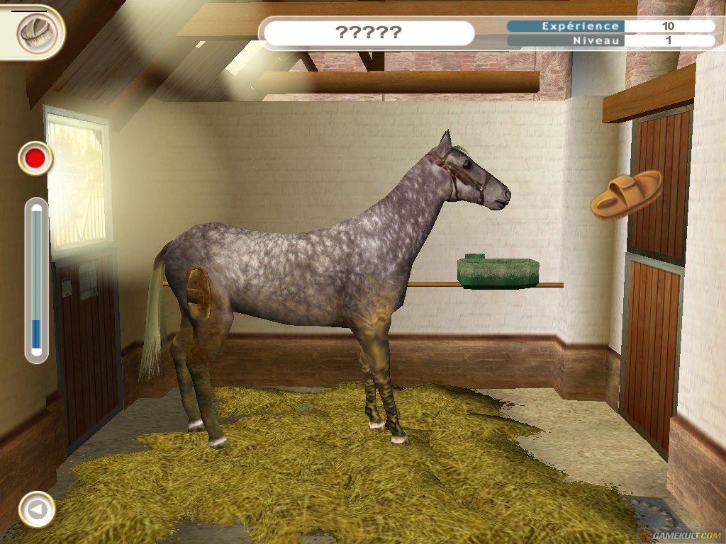 Alexandra Ledermann 5 : Legacy of the Stud