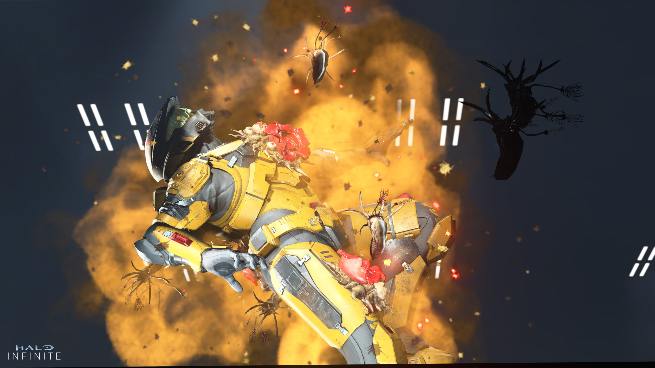 Halo Infinite: Operation Haloween II
