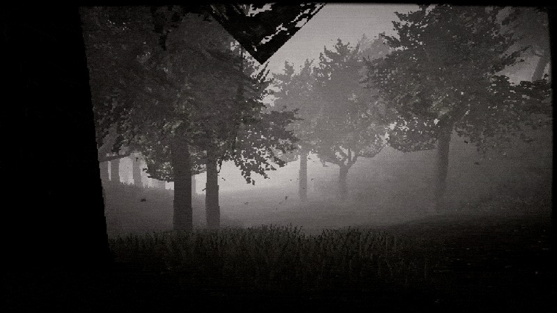 Hachi: Eight Feet Tall