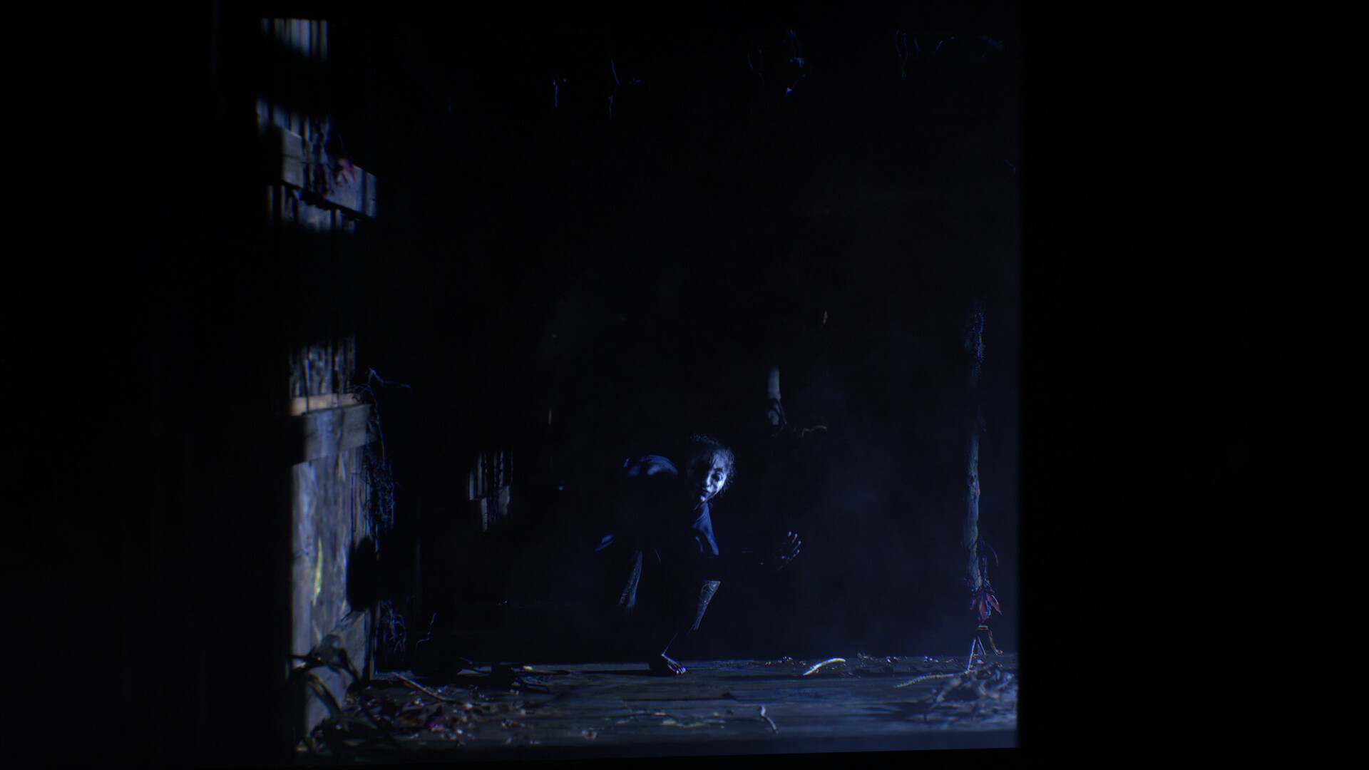 The Twilight Project