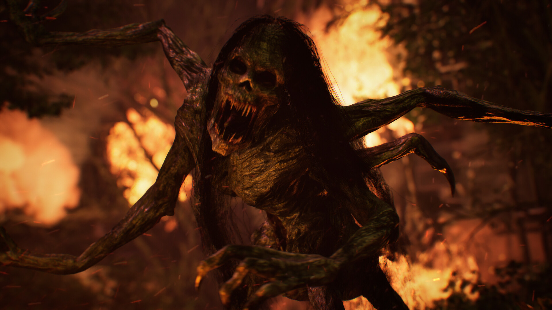 The Twilight Project