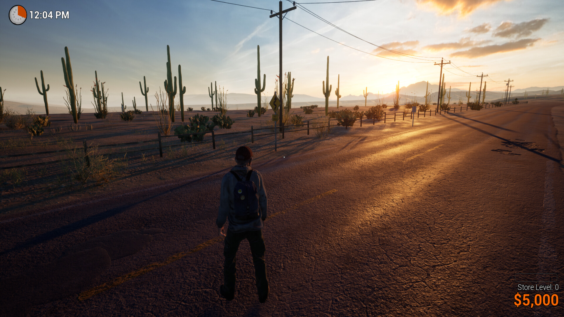 Roadside Store Simulator