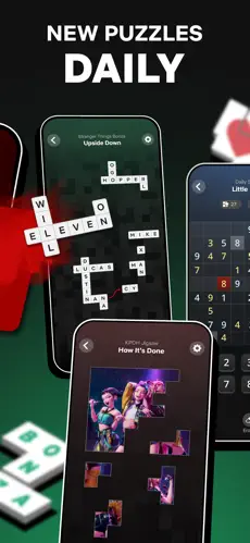 Netflix Puzzled