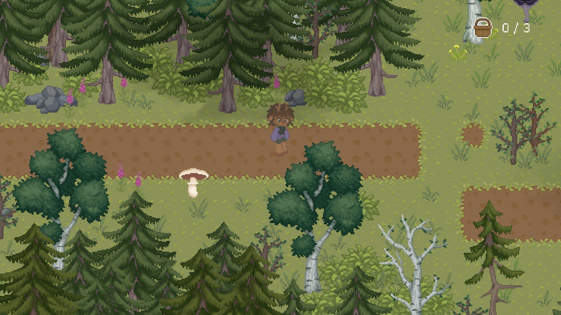 The Mushroom Journal