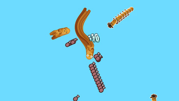 Nuggets Slitherio
