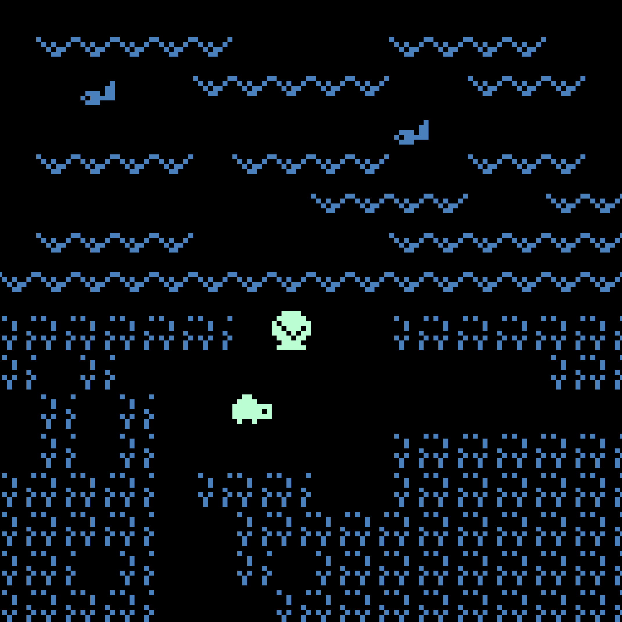 A Little Turtle’s Big Adventure