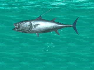 Umi no Nushi Tsuri: Takara-jima ni Mukatte