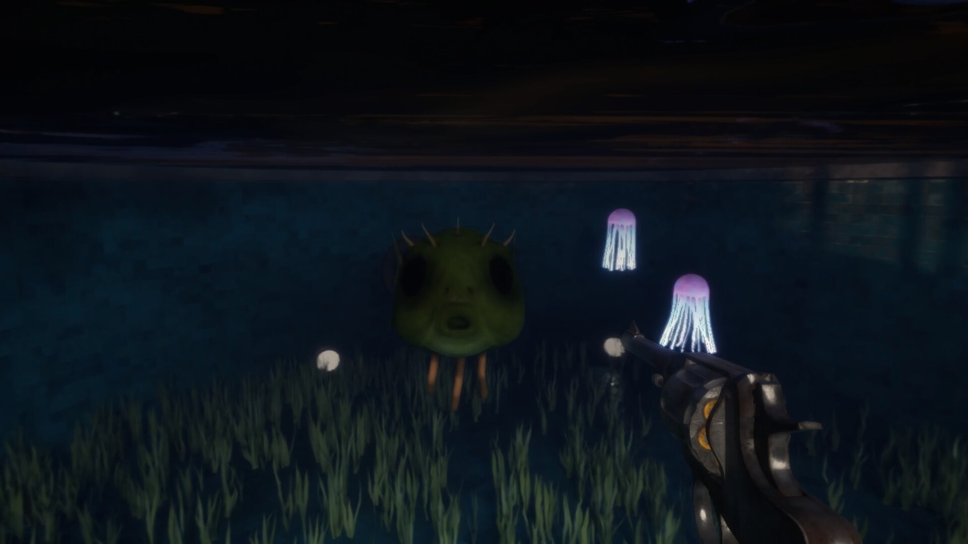 Fish Eyes