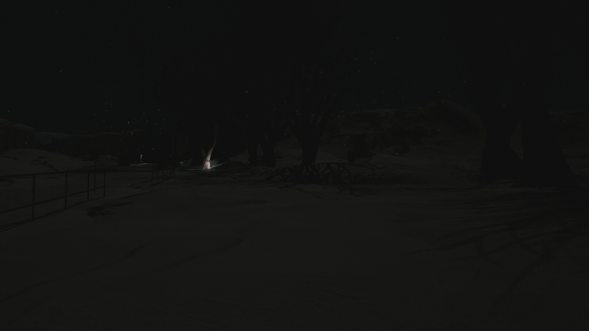 Silent Snow