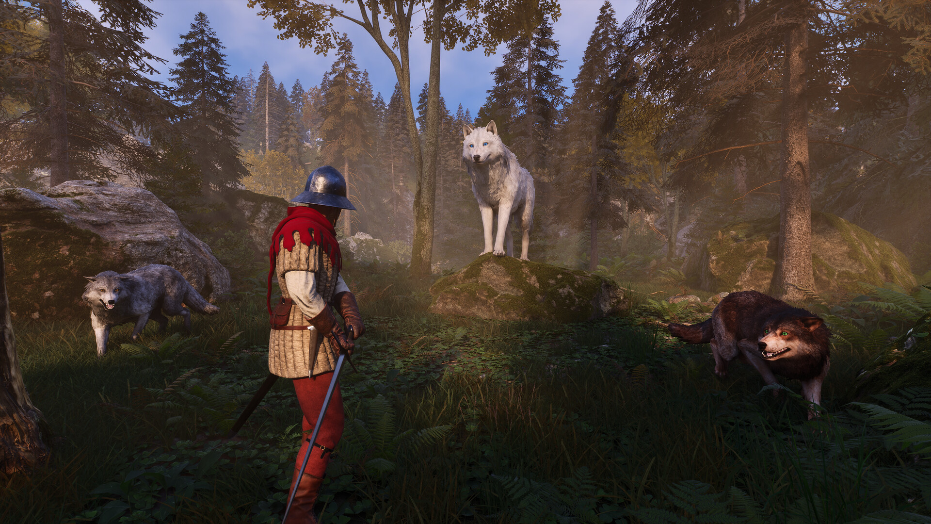 Knight’s Path