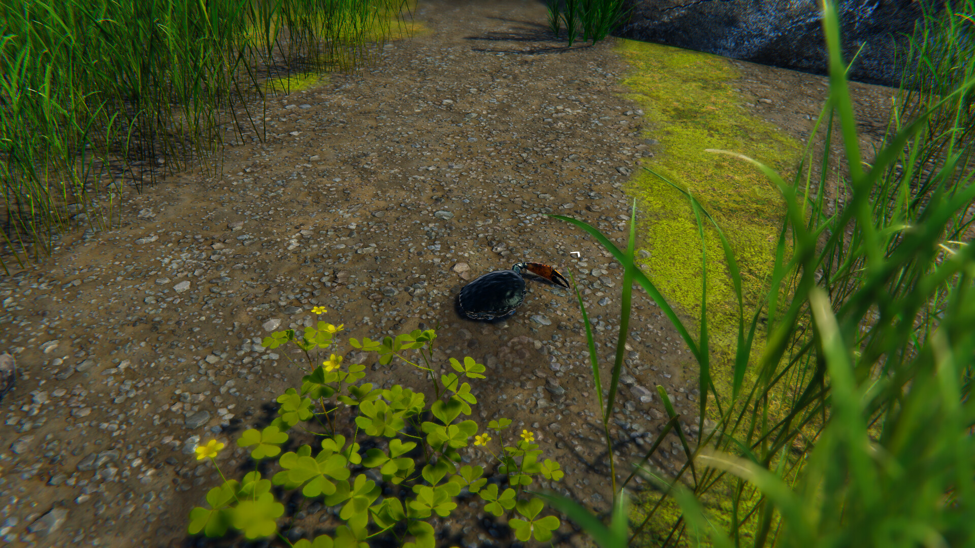 Strong Crab