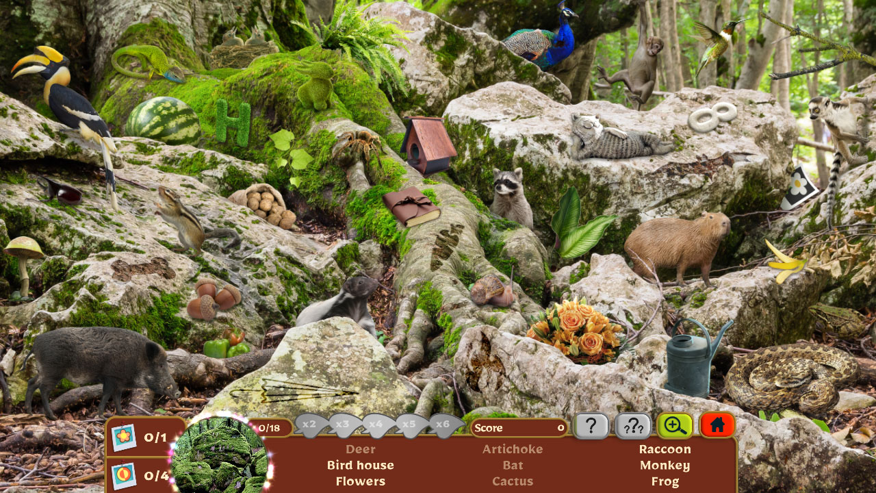 Nature Escapes 5: Collector’s Edition