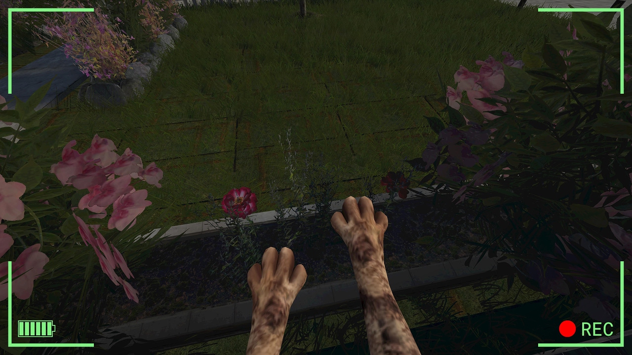 Kitty Cat Adventures Bundle